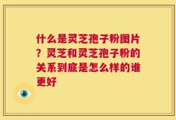 什么是灵芝孢子粉图片？灵芝和灵芝孢子粉的关系到底是怎么样的谁更好
