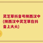 灵芝草抖音号陕西汉中(陕西汉中灵芝草在抖音上大火)