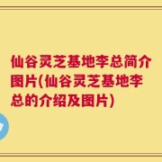 仙谷灵芝基地李总简介图片(仙谷灵芝基地李总的介绍及图片)