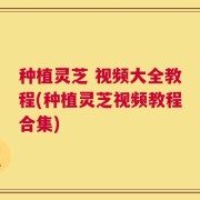 种植灵芝 视频大全教程(种植灵芝视频教程合集)