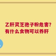 乙肝灵芝孢子粉危害？有什么食物可以养肝