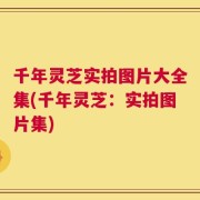 千年灵芝实拍图片大全集(千年灵芝：实拍图片集)