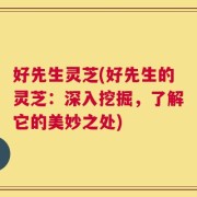 好先生灵芝(好先生的灵芝：深入挖掘，了解它的美妙之处)
