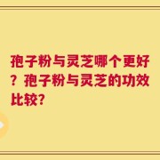 孢子粉与灵芝哪个更好？孢子粉与灵芝的功效比较？