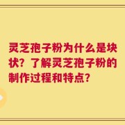 灵芝孢子粉为什么是块状？了解灵芝孢子粉的制作过程和特点？