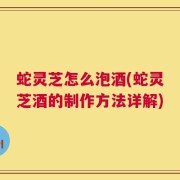 蛇灵芝怎么泡酒(蛇灵芝酒的制作方法详解)