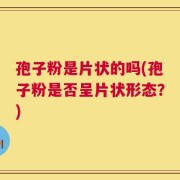 孢子粉是片状的吗(孢子粉是否呈片状形态？)