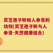 灵芝孢子粉和人参膏的功效(灵芝孢子粉与人参膏-天然健康组合)