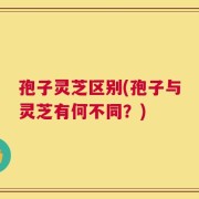 孢子灵芝区别(孢子与灵芝有何不同？)