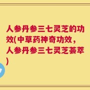 人参丹参三七灵芝的功效(中草药神奇功效，人参丹参三七灵芝荟萃)