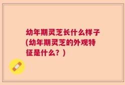 幼年期灵芝长什么样子(幼年期灵芝的外观特征是什么？)