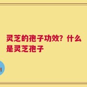 灵芝的孢子功效？什么是灵芝孢子