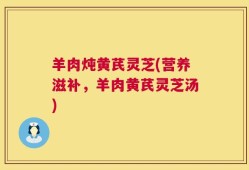 羊肉炖黄芪灵芝(营养滋补，羊肉黄芪灵芝汤)