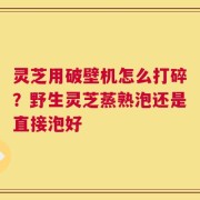 灵芝用破壁机怎么打碎？野生灵芝蒸熟泡还是直接泡好