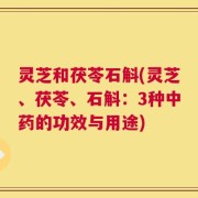 灵芝和茯苓石斛(灵芝、茯苓、石斛：3种中药的功效与用途)
