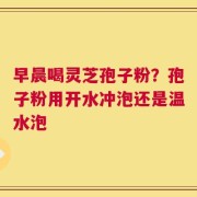 早晨喝灵芝孢子粉？孢子粉用开水冲泡还是温水泡