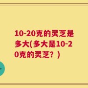 10-20克的灵芝是多大(多大是10-20克的灵芝？)