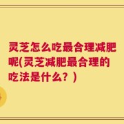 灵芝怎么吃最合理减肥呢(灵芝减肥最合理的吃法是什么？)