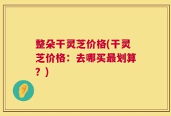 整朵干灵芝价格(干灵芝价格：去哪买最划算？)