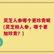 灵芝人参哪个更珍贵呢(灵芝和人参，哪个更加珍贵？)