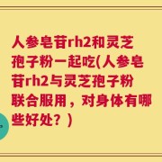 人参皂苷rh2和灵芝孢子粉一起吃(人参皂苷rh2与灵芝孢子粉联合服用，对身体有哪些好处？)