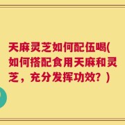 天麻灵芝如何配伍喝(如何搭配食用天麻和灵芝，充分发挥功效？)