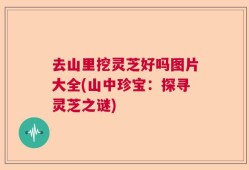 去山里挖灵芝好吗图片大全(山中珍宝：探寻灵芝之谜)