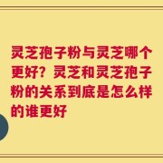 灵芝孢子粉与灵芝哪个更好？灵芝和灵芝孢子粉的关系到底是怎么样的谁更好