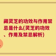 藏灵芝的功效与作用禁忌是什么(灵芝的功效、作用及禁忌解析)