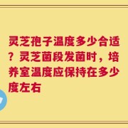 灵芝孢子温度多少合适？灵芝菌段发菌时，培养室温度应保持在多少度左右