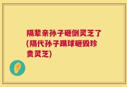 隔辈亲孙子砸倒灵芝了(隔代孙子踢球砸毁珍贵灵芝)