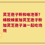 灵芝孢子粉和啥泡茶？蜂胶蜂蜜加灵芝孢子粉加灵芝孢子油一起吃功效