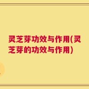 灵芝芽功效与作用(灵芝芽的功效与作用)