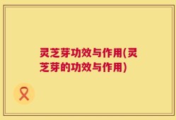 灵芝芽功效与作用(灵芝芽的功效与作用)