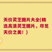 天价灵芝图片大全(精选高清灵芝图片，尽览天价之美！)