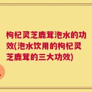 枸杞灵芝鹿茸泡水的功效(泡水饮用的枸杞灵芝鹿茸的三大功效)