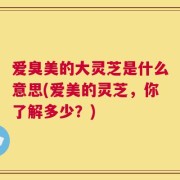 爱臭美的大灵芝是什么意思(爱美的灵芝，你了解多少？)