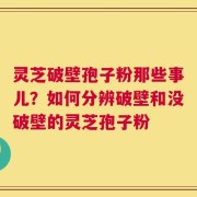 灵芝破壁孢子粉那些事儿？如何分辨破壁和没破壁的灵芝孢子粉