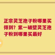 正宗灵芝孢子粉哪里买得到？紫一破壁灵芝孢子粉到哪里买最好