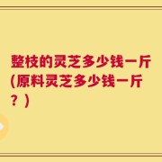 整枝的灵芝多少钱一斤(原料灵芝多少钱一斤？)