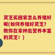 灵芝买回家怎么养殖好呢(如何养殖好灵芝？教你在家种出营养丰富的灵芝！)