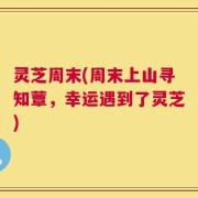灵芝周末(周末上山寻知蕈，幸运遇到了灵芝)