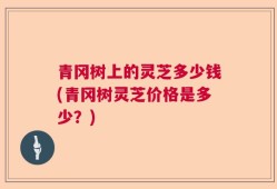 青冈树上的灵芝多少钱(青冈树灵芝价格是多少？)