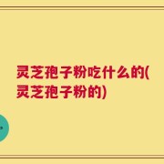 灵芝孢子粉吃什么的(灵芝孢子粉的)