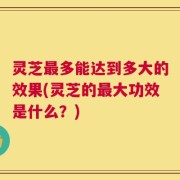 灵芝最多能达到多大的效果(灵芝的最大功效是什么？)