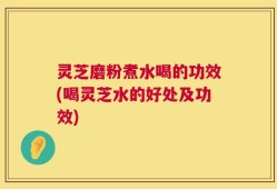 灵芝磨粉煮水喝的功效(喝灵芝水的好处及功效)