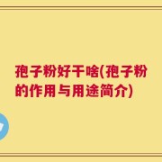 孢子粉好干啥(孢子粉的作用与用途简介)