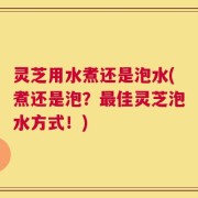 灵芝用水煮还是泡水(煮还是泡？最佳灵芝泡水方式！)