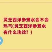 灵芝西洋参煮水会不会热气(灵芝西洋参煮水有什么功效？)