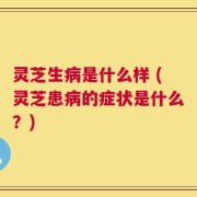 灵芝生病是什么样 (灵芝患病的症状是什么？)